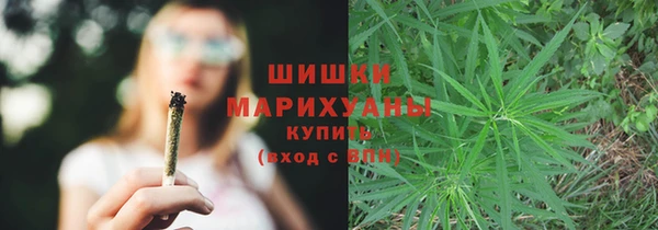 винт Гусь-Хрустальный