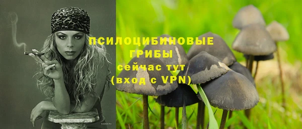 мяу мяу мука Гусиноозёрск