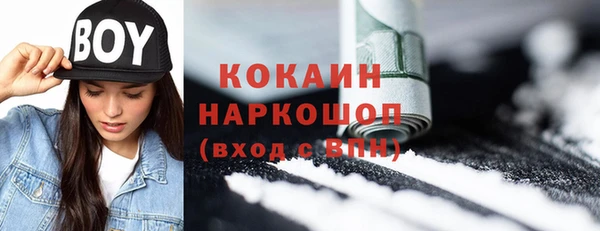 тгк Гусев