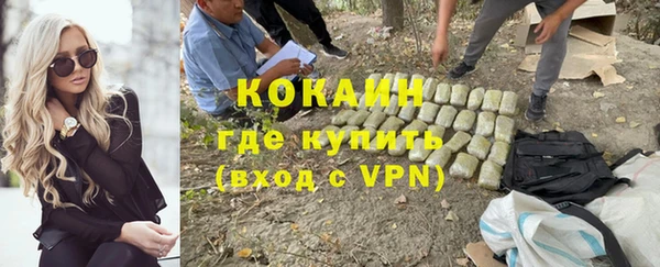 винт Гусь-Хрустальный