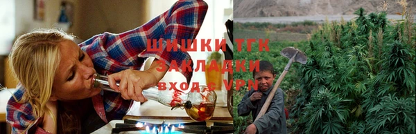 тгк Гусев