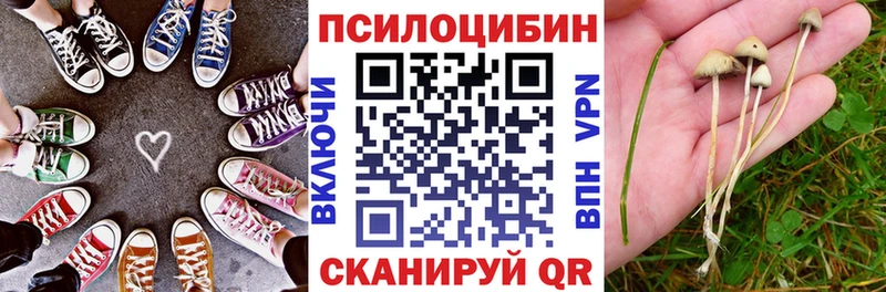 Галлюциногенные грибы MAGIC MUSHROOMS  Купить  Кашин 